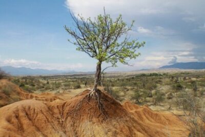 Desierto de la Tatacoa: paisajes y observación de estrellas.