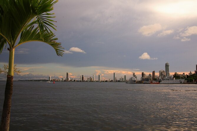 Dinner and Wine in Cartagena Bay aboard the Sibarita Master - Wine included, designed for easy sharing