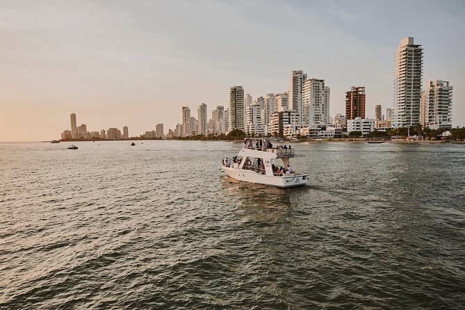 Dinner Cruise Along Cartagena's Bay - Wine and premium drinks: your best move is to order clearly