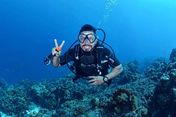 Diving Experience in Cartagena with all Incluided - Key things to know before you go