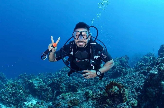 Diving Experience in Cartagena with all Incluided - After the water: Caribbean fried starters and classic Cartagena comfort food