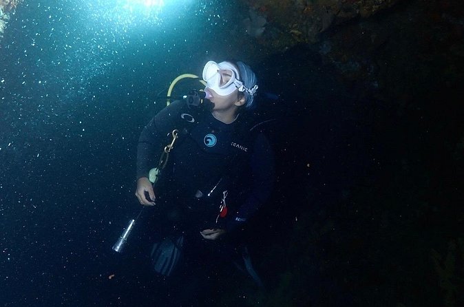 Diving Experience in Cartagena with all Incluided - What this day costs, and when $280 is a good value