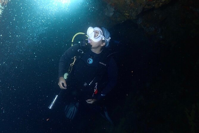 Diving Experience in Cartagena with all Incluided - Should you book this Spot Diving Cartagena day?
