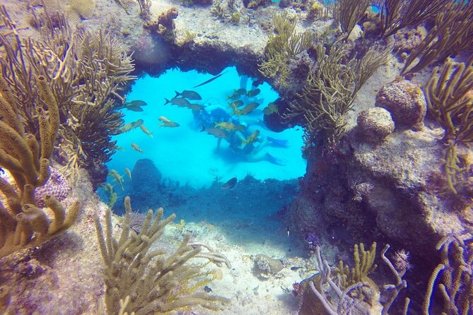 Diving for Beginners among Corals and Statues in San Andres - Mosquitoes, timing, and the flight rule you should not ignore