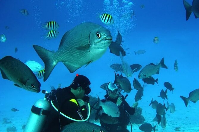 Diving for Beginners among Corals and Statues in San Andres - Before you go underwater: equipment, breathing, and hand signs