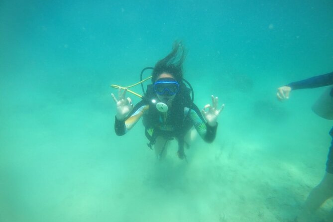 Diving in Playa Blanca Barú with Lunch - Cartagena Colombia - Getting to Barú: the 7:30 am start that shapes the whole day