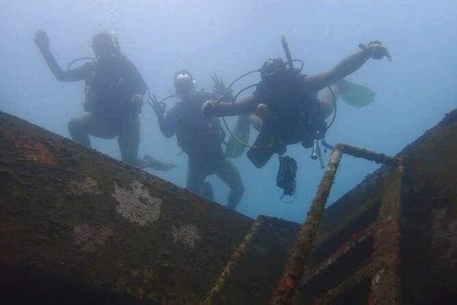 Diving in Playa Blanca Barú with Lunch - Cartagena Colombia - After the water: lunch with real options, plus how the transfer feels