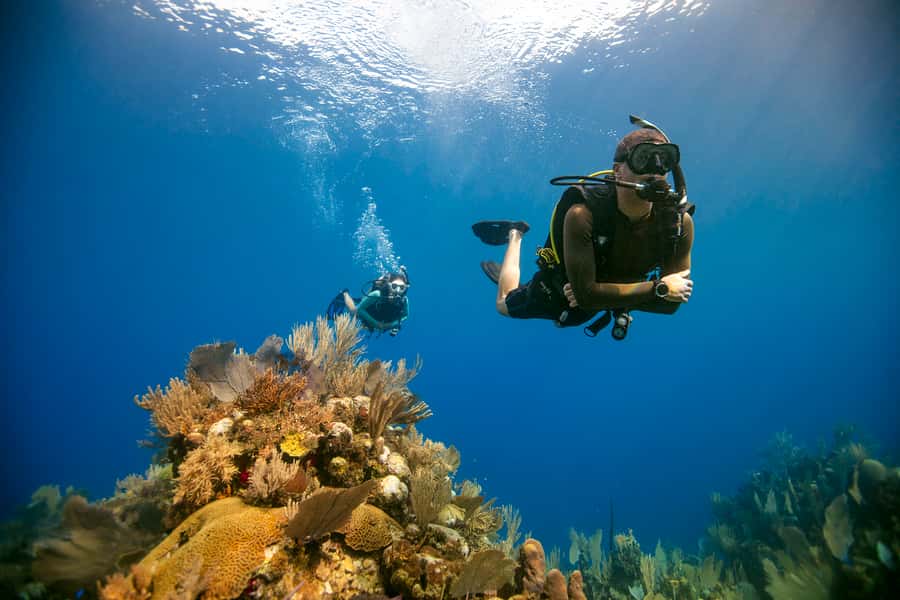 Diving Santa Marta & Tayrona for Certified Divers (2 tanks) - SCUBA Carolina in Santa Marta, and the small-group advantage