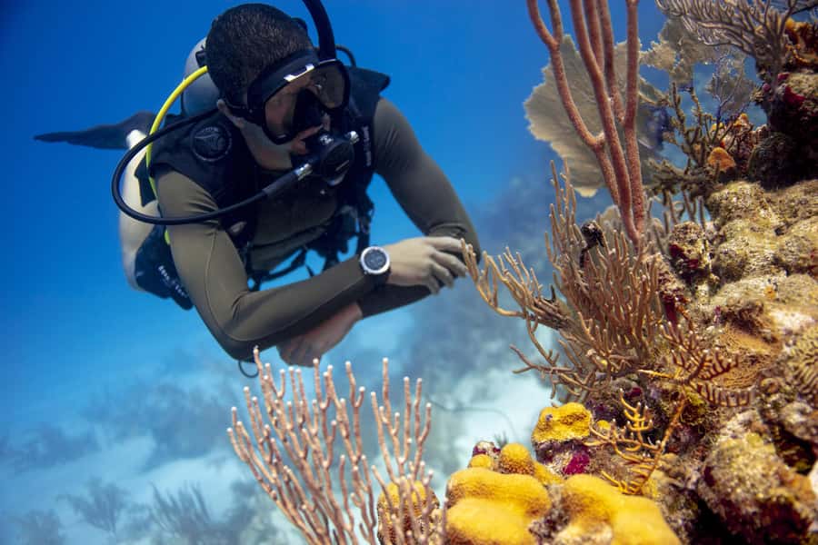 Diving Santa Marta & Tayrona for Certified Divers (2 tanks) - Two-tank underwater sessions around Parque Tayrona