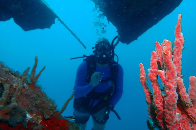 Diving Trip for Certified Divers. - Two long morning underwater sessions over 50 minutes each