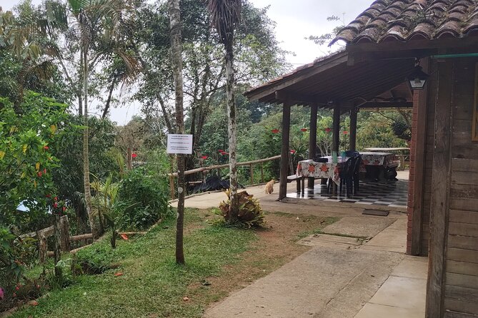 Easy Birdwatching in Cali Colombia (4 Hours) - The farm stop for baby goats: a fun reset