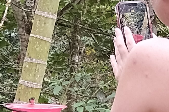 Easy Birdwatching in Cali Colombia (4 Hours) - A realistic note: mountain logistics and flexibility help