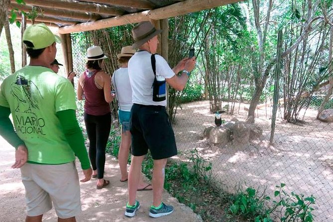 Eco Plan National Aviary and Lunch in Playa Mambo Beach Barú - Timing That Keeps the Day Comfortable, Not Exhausting