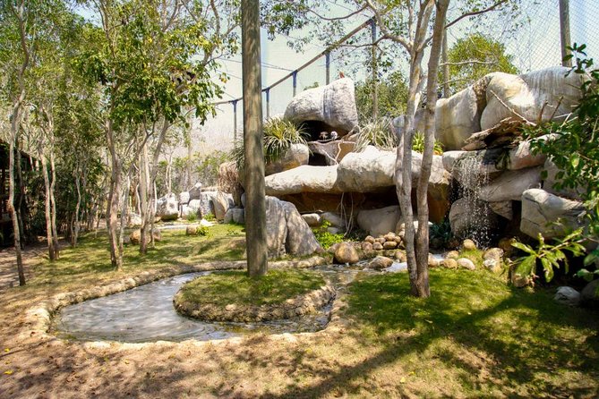 Eco Plan National Aviary and Lunch in Playa Mambo Beach Barú - The Bird Show Experience: Learning Without Feeling Like School
