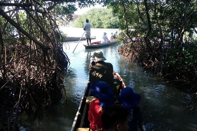 Ecoruta Volcán del Totumo and experience in the Mangroves - Price and value for a 6-hour Cartagena nature tour