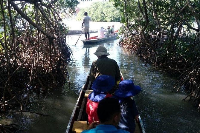 Ecoruta Volcán del Totumo and experience in the Mangroves - Guide quality can make or break the experience