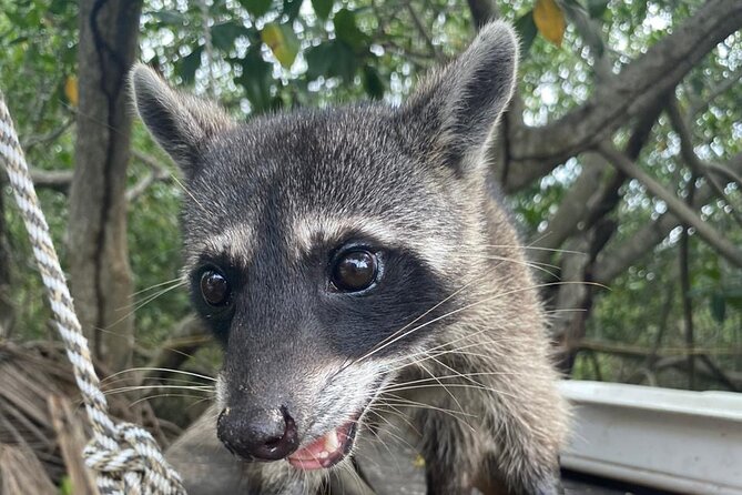 Ecotour Mangrove and Craft Fishing : Nature + Local Community - Who this tour suits best (and who might want a different plan)