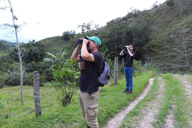 Endemic Birds Tour in Salento - Breakfast, snacks, and what to pack for an outdoor 5-hour day