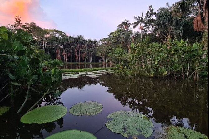 Escape to the Amazon 3-Day Tour - What to pack for the Amazon days in Leticia