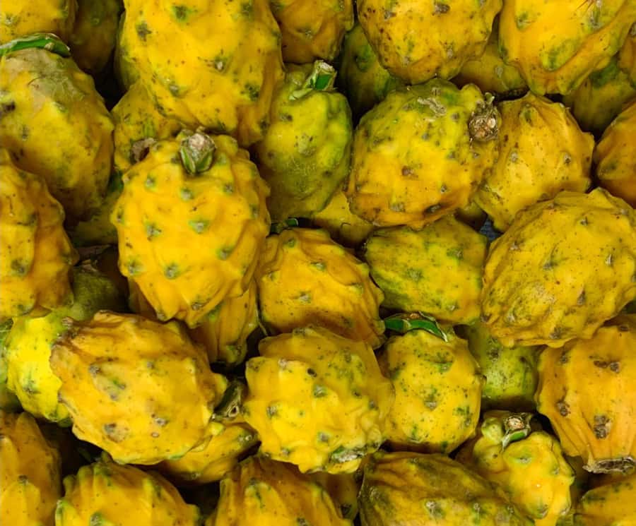 Essential Fruit Experience - Why the Plaza Minorista is the perfect classroom for fruit