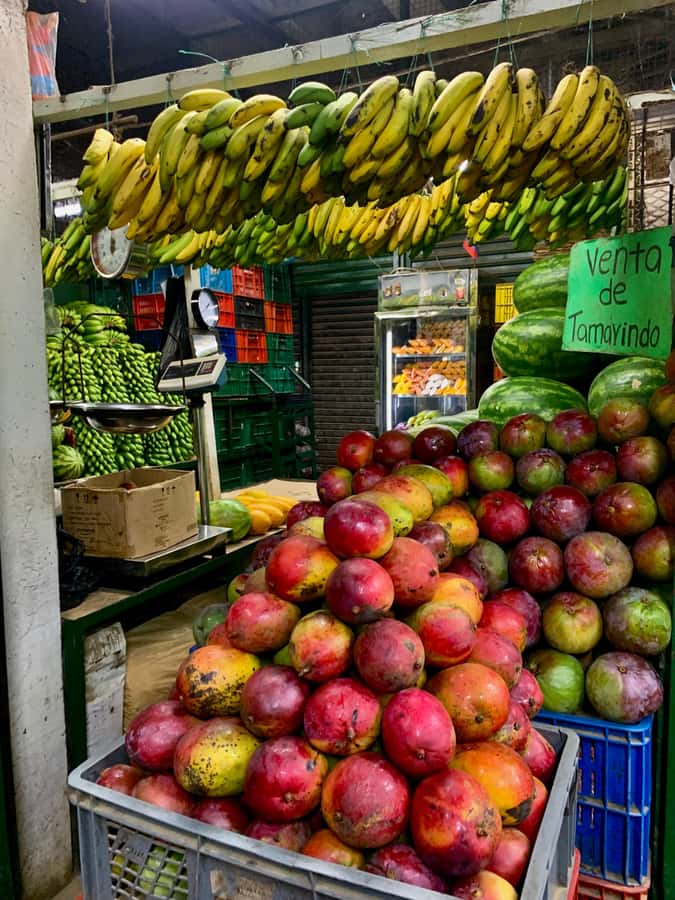 Essential Fruit Experience - Getting there: Metroplús and where your guide waits