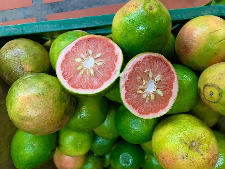 Essential Fruit Experience - The opening walk: history and how vendors shape the day