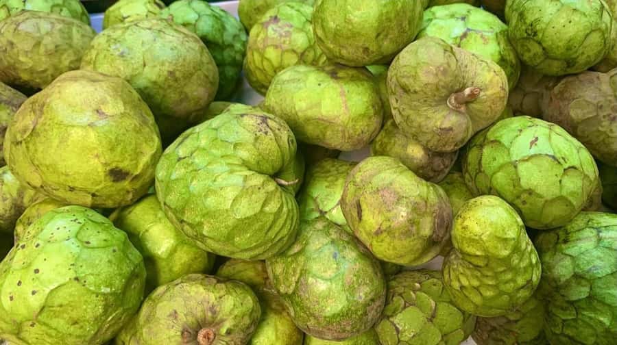 Essential Fruit Experience - Who this tour suits best in Medellín