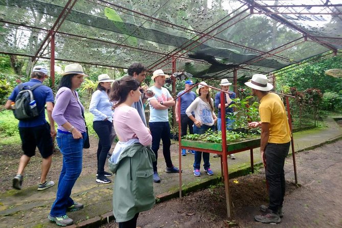 Exclusive Coffee Experience:Tour from Bogotá - Why a coffee farm day works so well from Bogotá