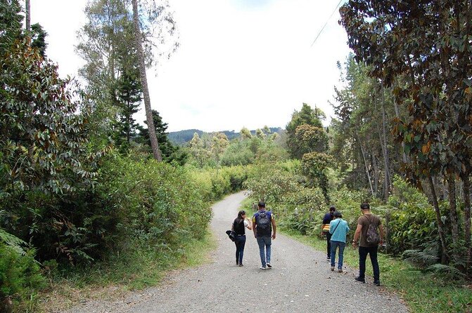 Exotic flowers farm and silleteros cultural tour - Highlights I’d Plan Around