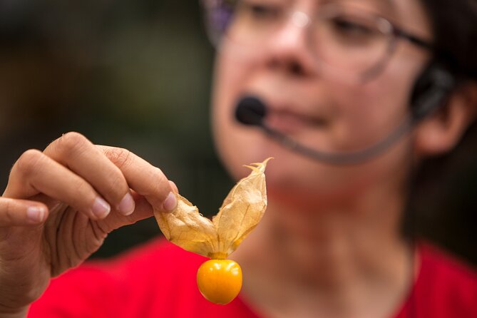 Exotic Fruits Tour - Plaza Minorista turns fruit into a quick education