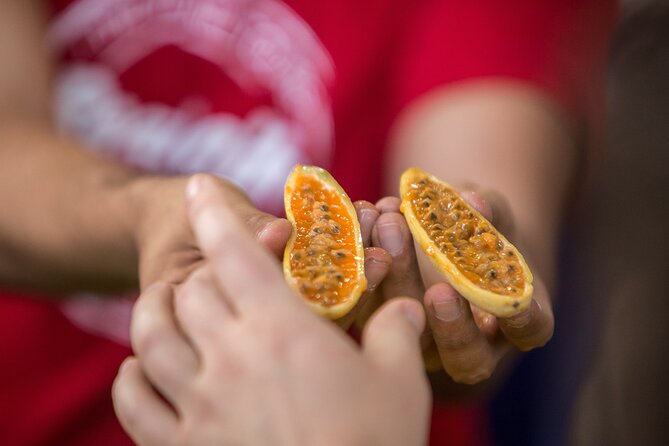 Exotic Fruits Tour - Meeting point in La Candelaria, and what that means for timing