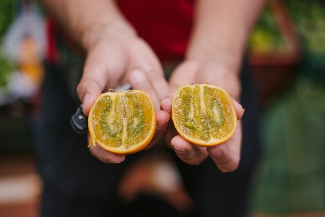 Exotic Fruits Tour - A few practical tips so your market tasting feels smooth