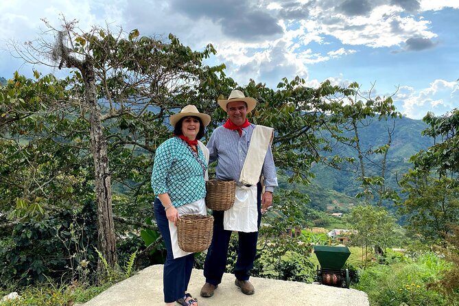 EXPERIENCES COLOMBIA (coffee tour) - Should you book this Medellín coffee farm tour?