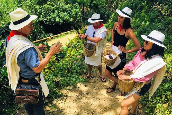 EXPERIENCES COLOMBIA (coffee tour) - Coffee tastings and brewing styles you can use at home