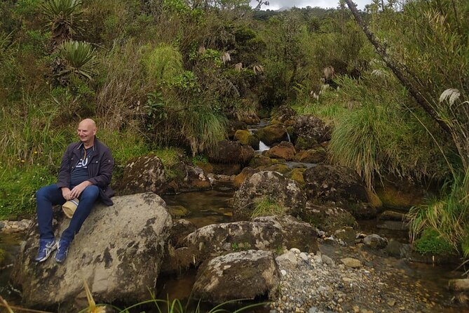 Explore Chingaza Natural Park: A Scenic Adventure from Bogotá - Leaving Bogotá for Chingaza: the easiest Andes detour