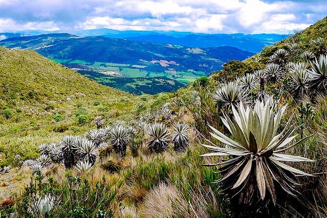 Explore Chingaza Natural Park: A Scenic Adventure from Bogotá - Who this tour is best for, and who should rethink it