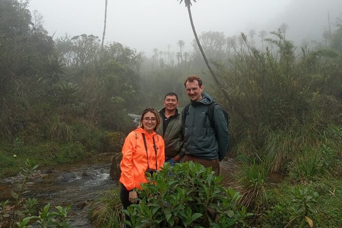 Explore Chingaza Natural Park: A Scenic Adventure from Bogotá - Chingaza National Park: Rincón del Oso and the páramo experience