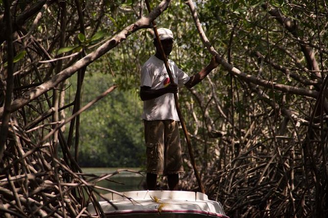 Explore La Boquilla’s Mangrove Tunnels with Local Fishermen - Key Things You’ll Remember