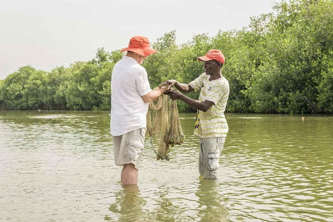 Explore La Boquilla’s Mangrove Tunnels with Local Fishermen - Why Paddle the Mangrove Tunnels Near Cartagena