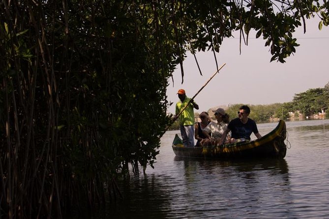 Explore La Boquilla’s Mangrove Tunnels with Local Fishermen - Getting From Centro Histórico to La Boquilla Without the Hassle