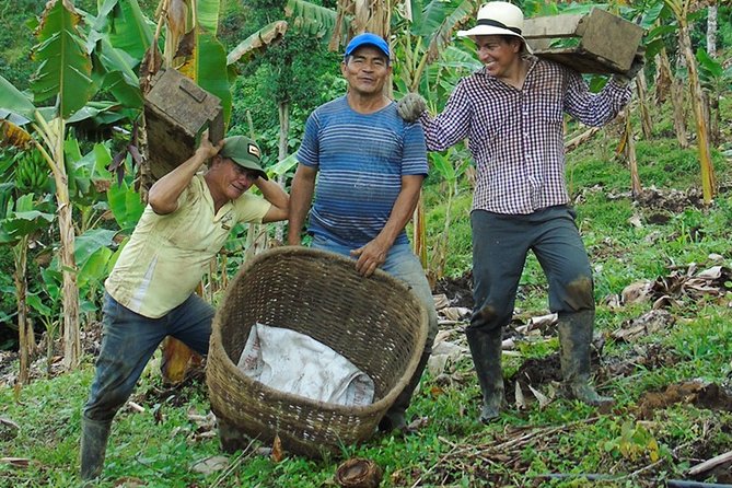 Explore the Coffee Process_From Tree to Cup & Fun by Jeep - Meet Arvey and Elizabeth: Coffee Farmers With a Sustainability Story