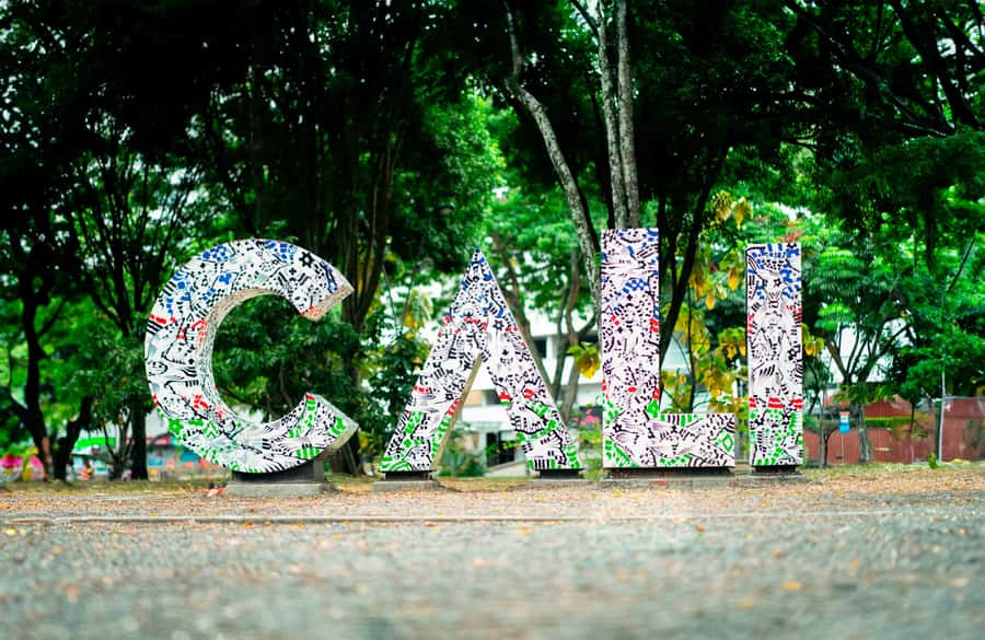 Flavors of Cali: Food tour at the local market - Breakfast and lunch on site: more than samples for $73