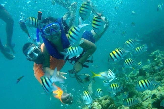 Four Islands Experience Isla Baru - Isla Grande near San Martín de Pajarales: 45 minutes to reset