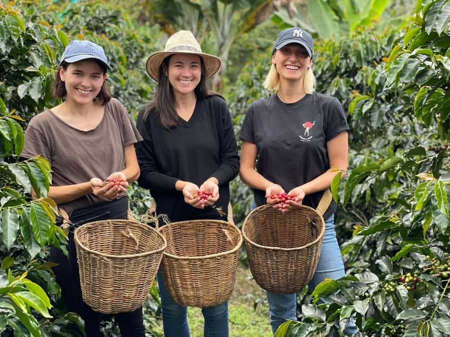 From Bogota: 5 hour guided coffe farm tour - All included - Key highlights worth planning for