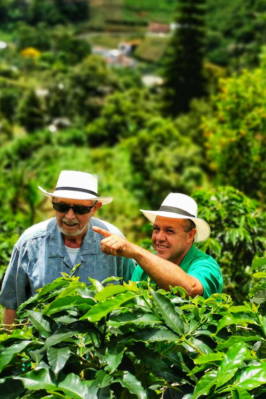 From Bogota: 5 hour guided coffe farm tour - All included - Small-group private tour value: why $118 can make sense