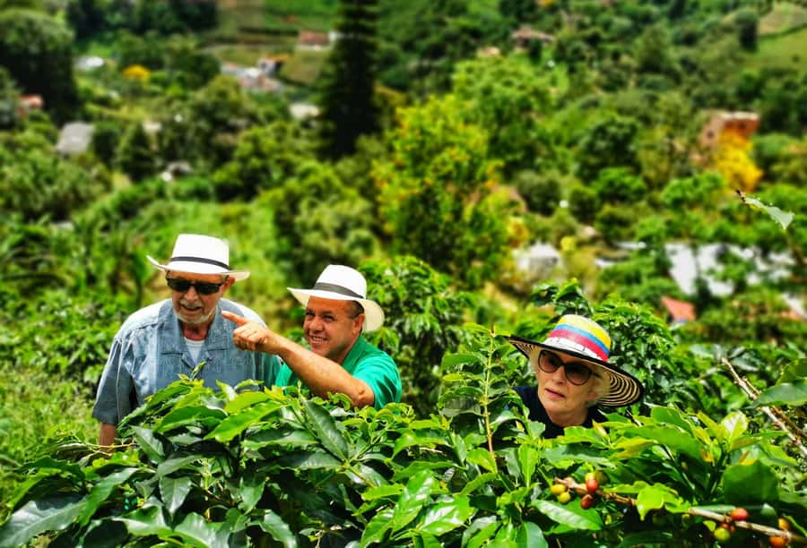 From Bogota: 5 hour guided coffe farm tour - All included - Pickup in Bogotá, then breakfast in Ubaque