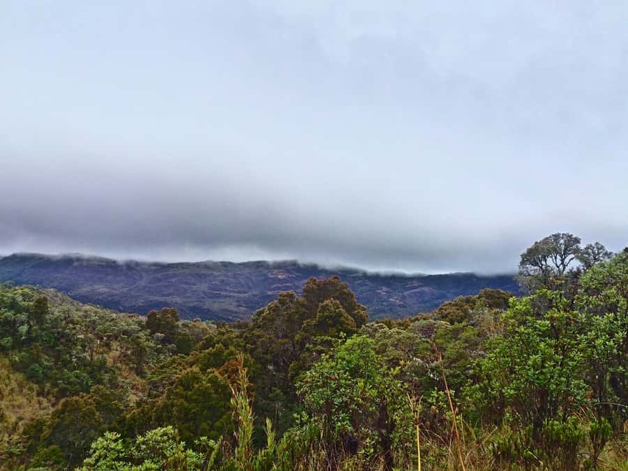 From Bogotá: Chingaza National Park Eco Tour - Key Things You’ll Notice on This Chingaza Eco Tour