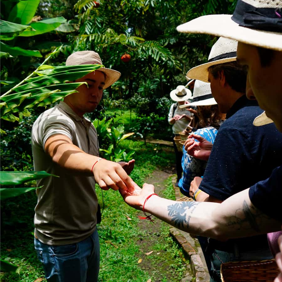 From Bogotá: Coffee Farm and Tequendama Falls Tour - A Coffee and Waterfall Day Trip That Actually Feels Like Two Experiences