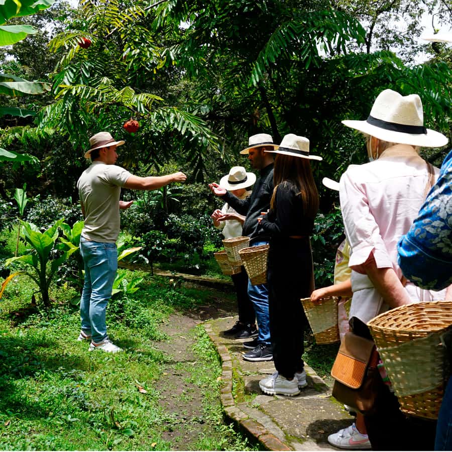 From Bogotá: Coffee Farm and Tequendama Falls Tour - The Coffee Farm Walk: Where the Day Gets Hands-On