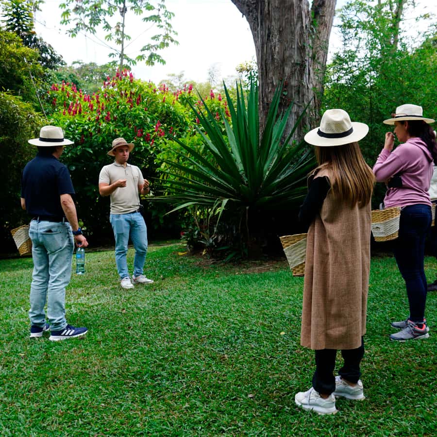 From Bogotá: Coffee Farm and Tequendama Falls Tour - Who Should Book, and Who Might Want a Different Day
